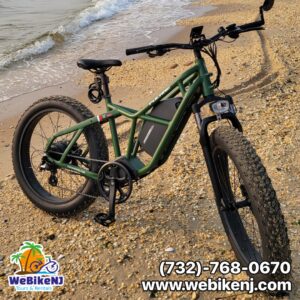 Affordable Ebike in Long Branch